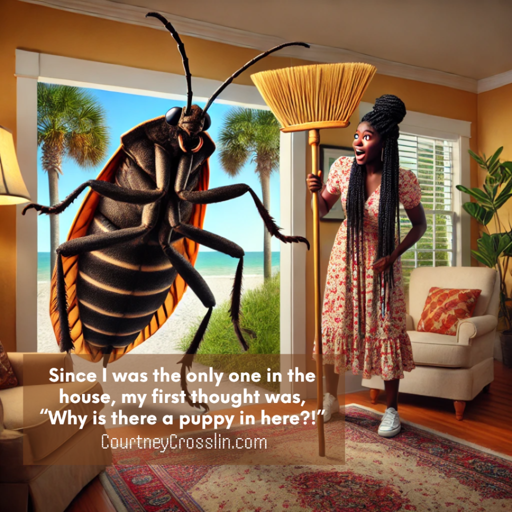 image of a very large palmetto bug with a woman holding a broom screaming 